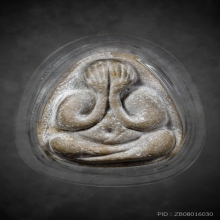 พระปิดตามหาเสน่ห์ หลวงปู่โต๊ะวัดประดู่ฉิมพลี 