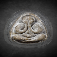 พระปิดตามหาเสน่ห์ หลวงปู่โต๊ะวัดประดู่ฉิมพลี 