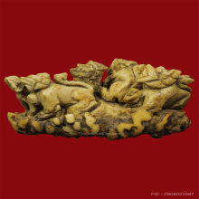 สิงห์เขากวางคุด