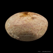 ลูกอมมหากัณฑ์หลวงพ่อคงวัดบางกะพ้อม โซนชมพู สภาพสวย