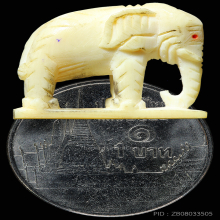 ช้างงาแกะหลวงปู่ทิม อิสริโก ออกวัดโพธิสัมพันธ์ 