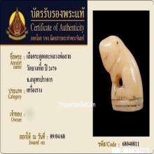 เสือหลวงพ่อสาย วัดคลองด่าน จ.สมุทรปราการ