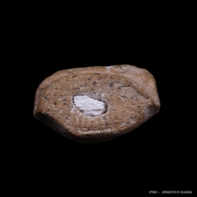 พระรอดวัดพระสิงห์ เชียงใหม่ ปี 2496 อุดผงหลวงพ่อสด