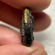 พระปิดตา เนื้อผงคลุกรักจุ่มรักเก่า 