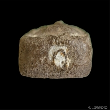 พระหลวงพ่อปานวัดบางนมโค พิมพ์ไก่ขี่โบราณ