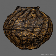 ลูกอมโสรส หลวงพ่อปลอด วัดปากทะเล