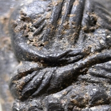 หลวงปู่ทวด วัดช้างให้ ปี2524 เนื้อว่าน พิมพ์กลาง