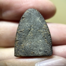 หลวงปู่ทวด วัดช้างให้ ปี2524 เนื้อว่าน พิมพ์กลาง