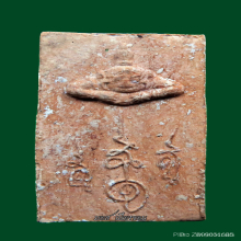 เฮงๆรวยๆรับตรุษจีน ที่สุดสิหิงค์นำฤกษ์เบิกชัยส้มจี๊ดลายเสือ 