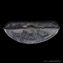 หลวงพ่อทวดหัวมวย เนื้อเมฆพัตร วัดอ่างทองปี06 อ.ทิมเสกสภาพสวย