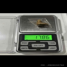 พระพุทธข้างรัศมี หลวงพ่อปาน วัดคลองด่าน 2451