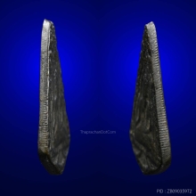 เหรียญหล่อก้นแมลงสาบ(เล็ก)หลวงพ่อขัน วัดนกกระจาบ 