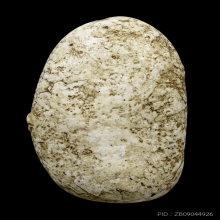 พระวัดพลับพิมพ์พุงป่องใหญ่