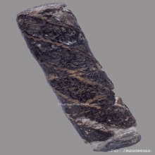 ตะกรุดจันทร์เพ็ญหลวงปู่ศุข วัดปากครองมะขามเฒ่า