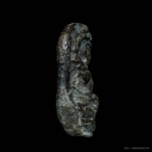 พระนาคปรก ศิลปะลพบุรี เนื้อตะกั่วสนิมแดง กรุวัดพระศรีฯ