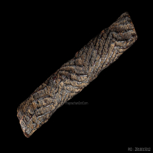 ตะกรุดหน้าผากเสือ หลวงพ่อหว่าง วัดเทียนถวาย 