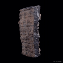 พระกำแพงห้าร้อย(ตัดเก้า)