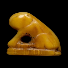 เสือหลวงพ่อปาน วัดคลองด่าน(บางเหี้ย) สมุทรปราการ