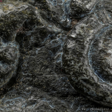 พระปิดตา พ่อท่านแก่น วัดทุ่งหล่อ 1 อุ