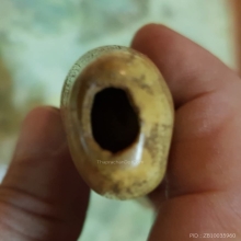 เขี้ยวโคร่ง โปร่งฟ้า