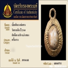 เบี้ยแก้หลวงพ่อทรง วัดศาลาดิน อ่างทอง