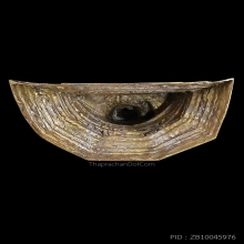 พระพุทธนิมิตรพิชิตมาร9นิ้ววัดหน้าพระเมรุ รุ่นสมโภช500ปี ปี47