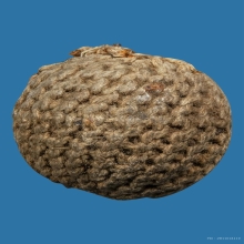 ลูกอมหลวงพ่อปลอด วัดในปากทะเล