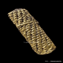 ตะกรุดหนังหน้าผากเสือ หลวงพ่อเต๋ วัดสามง่าม จ.นครปฐม