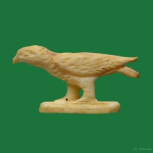 นกสาริกา งาแกะ เก่าจัด