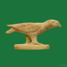 นกสาริกา งาแกะ เก่าจัด