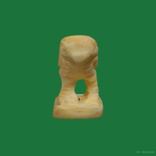 นกสาริกา งาแกะ เก่าจัด