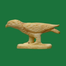 นกสาริกา งาแกะ เก่าจัด