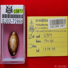 เบี้ยแก้หลวงพ่อนุ่ม(ลูกที่2)