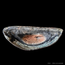 พระบูชาสมัยอยุธยา ราชวงศ์ ปราสาททอง