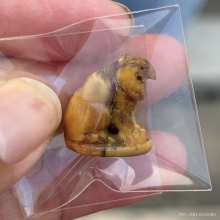 เสือหลวงพ่อปาน วัดคลองด่าน ศิลป์วัดกลาง ดีกรีที่2งานสมาคม