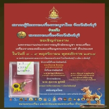 เสือหลวงพ่อปาน วัดคลองด่าน ศิลป์วัดกลาง ดีกรีที่2งานสมาคม