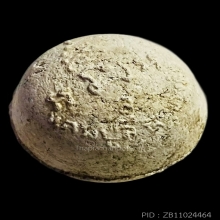 ลูกอมมหาลาภ เนื้อผงพุทธคุณ ปี 2517 หลวงปู่สี วัดเขาถ้ำบุญนาค