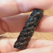 ตะกรุดสาริกา หลวงปู่ศุข วัดปากคลองมะขามเฒ่า