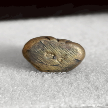 พระปิดตา หลวงพ่อเดิม วัดบางคลาน รุ่น ๒๙ ปี 2529