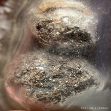 ลูกอมชานหมาก พ่อท่านเขียว วัดหรงบล (ไม่แยก)