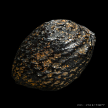 ลูกกระดอน สะท้อน  หลวงพ่อรุ่ง วัดท่ากระบือ