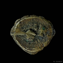 พระกริ่งเก่า มีบัวหลัง เนื้อทองผสมออกเป็นสำริดแก่เงิน 