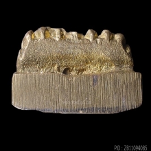 หลวงปู่ทวด เนื้อทองทิพย์ รุ่นสร้างโรงพยาบาลโคกโพธิ์ ปี 2539 