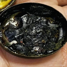 สีผึ้งนวด(รุ่น1) หลวงพ่อเอีย วัดบ้านด่าน เลี่ยมทองแท้