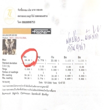 เหรียญพ่อป่อง น่วมมานาบ้านมีดี รุ่นเสาร์๕ เนื้อนาค