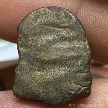 ลูกไม้กันยา หลวงพ่อพริ้ง วัดแจ้ง เกาะสมุย