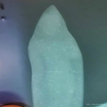 พระลีลาฝักดาบ (ลีลากล้วยตาก) กรุฝักตะคร้อ จ.สุโขทัย