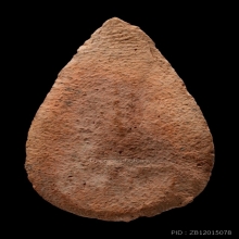 พระเนื้อดิน กรุวัดลิงขบ 