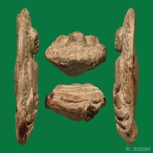 PHRA-PERM ( LAMPOON PROVINCE )