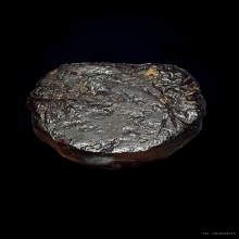 รูปเหมือนเนื้อครั่งพุทราหลวงพ่อทองศุขวัดโตนดหลวงปี05